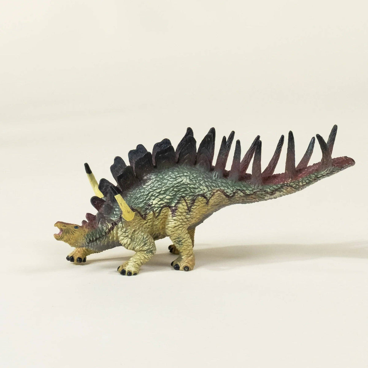 Kentrosaurus Dinosaur in a Collectable Box