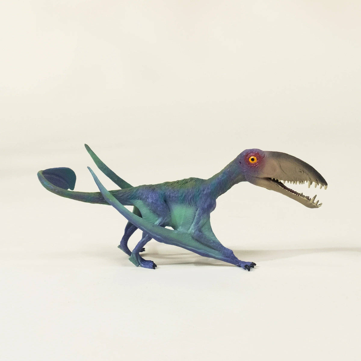 Pterosauria Dinosaur in a Collectable Box