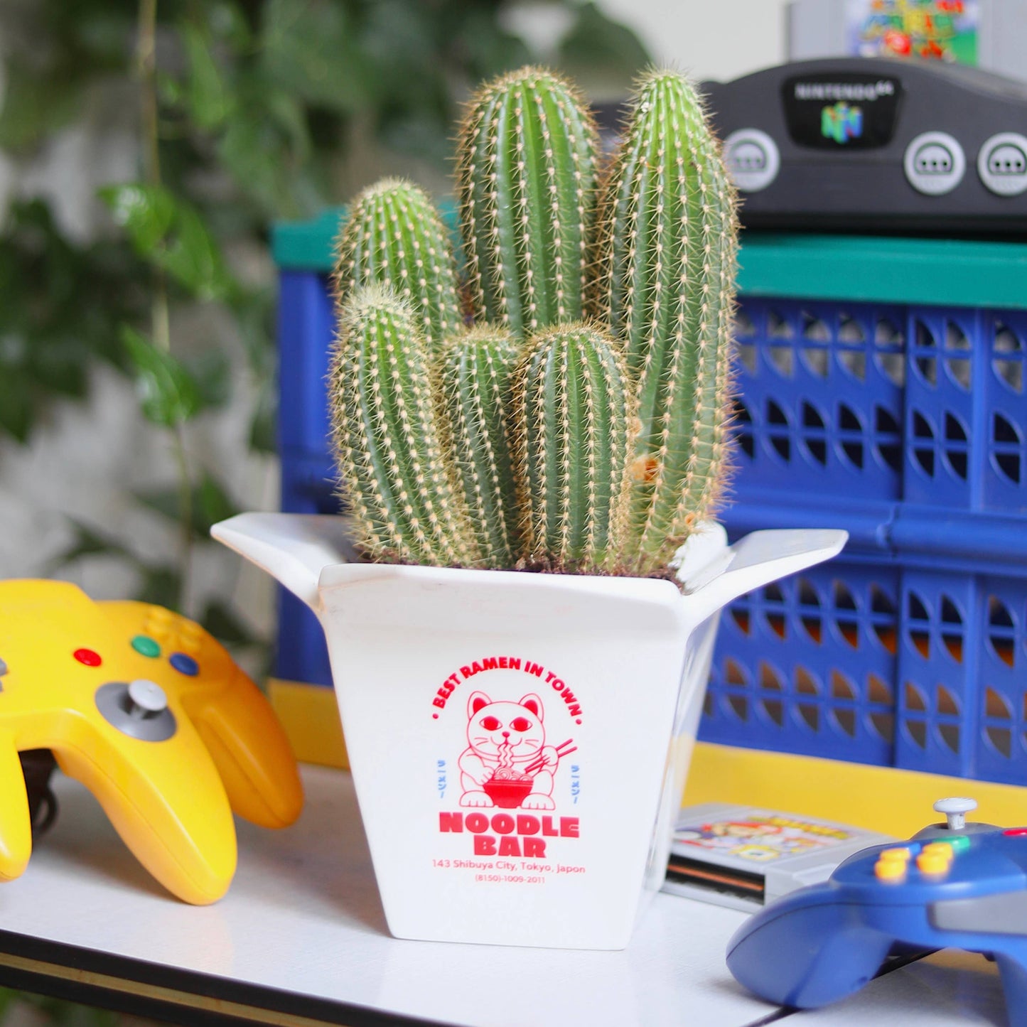 Fluid Market - Ramen Vase / Plant Pot