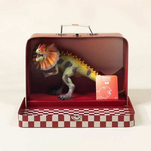 Dilophosaurus Dinosaur in a Collectable Box