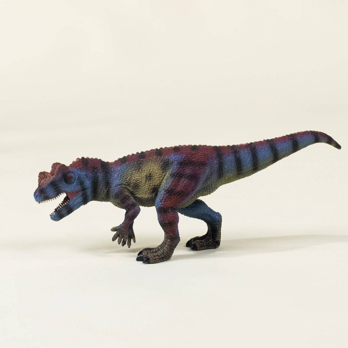 Ceratosaurus Dinosaur in a Collectable Box