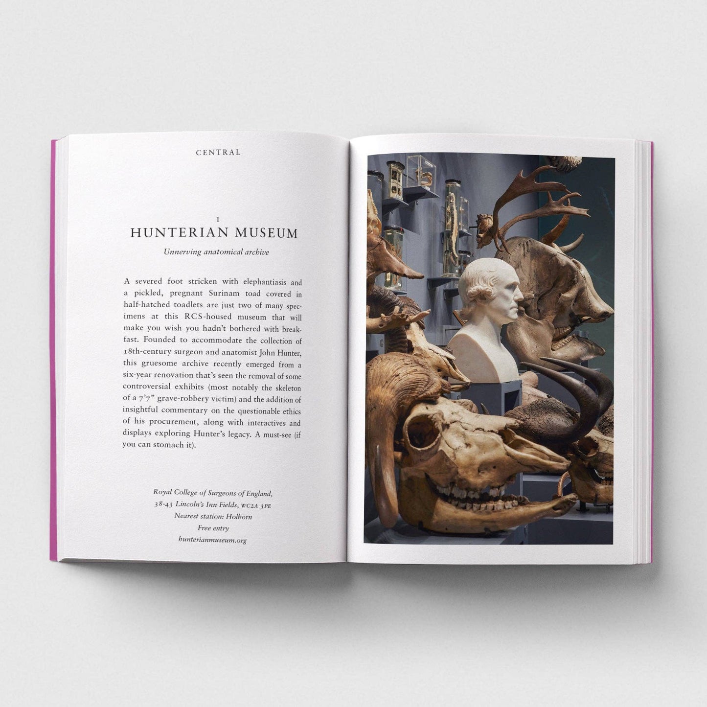 Open book showing text and images of a museum exhibit with animal skulls and a bust.