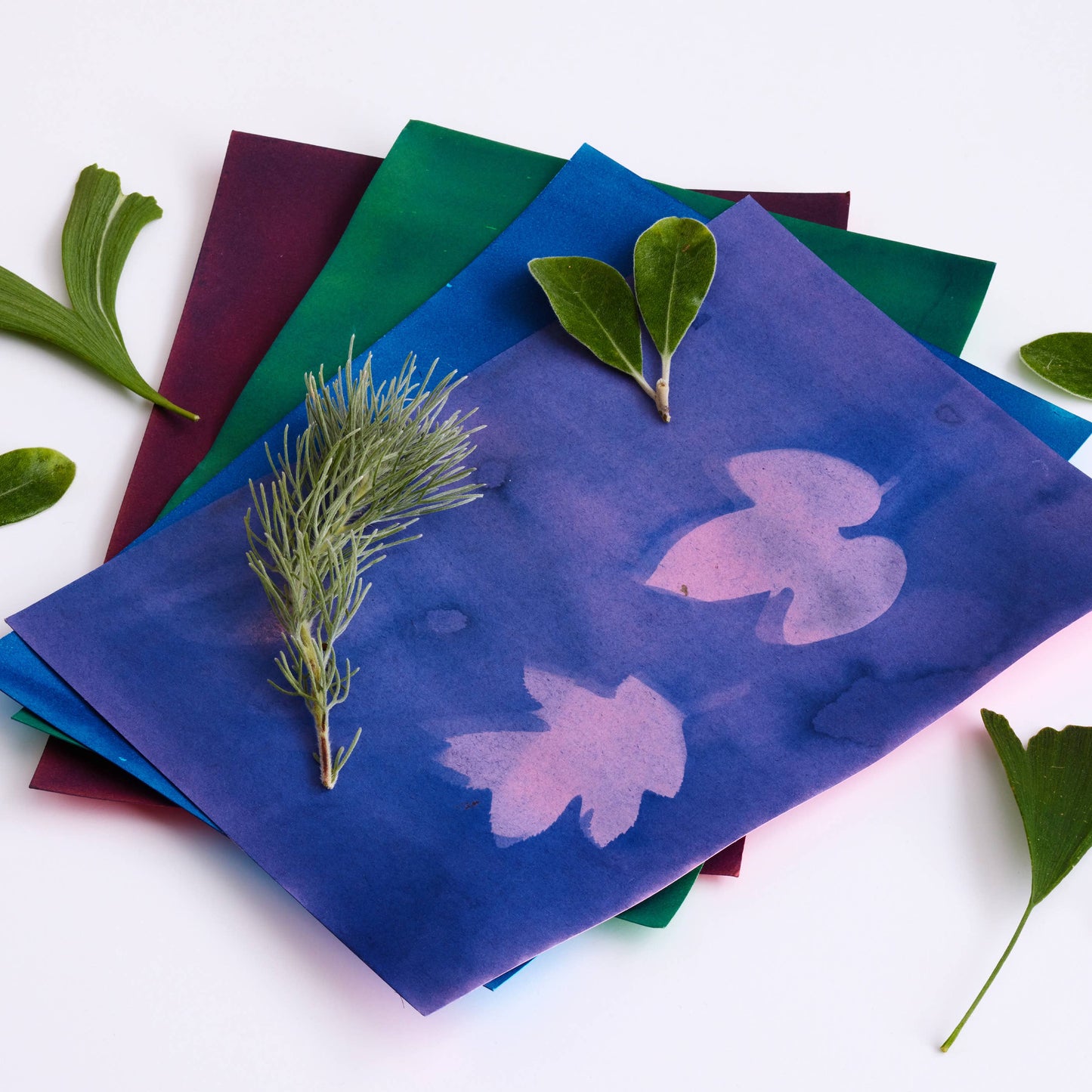 Color swatches with floral patterns and green leaves on a white background
