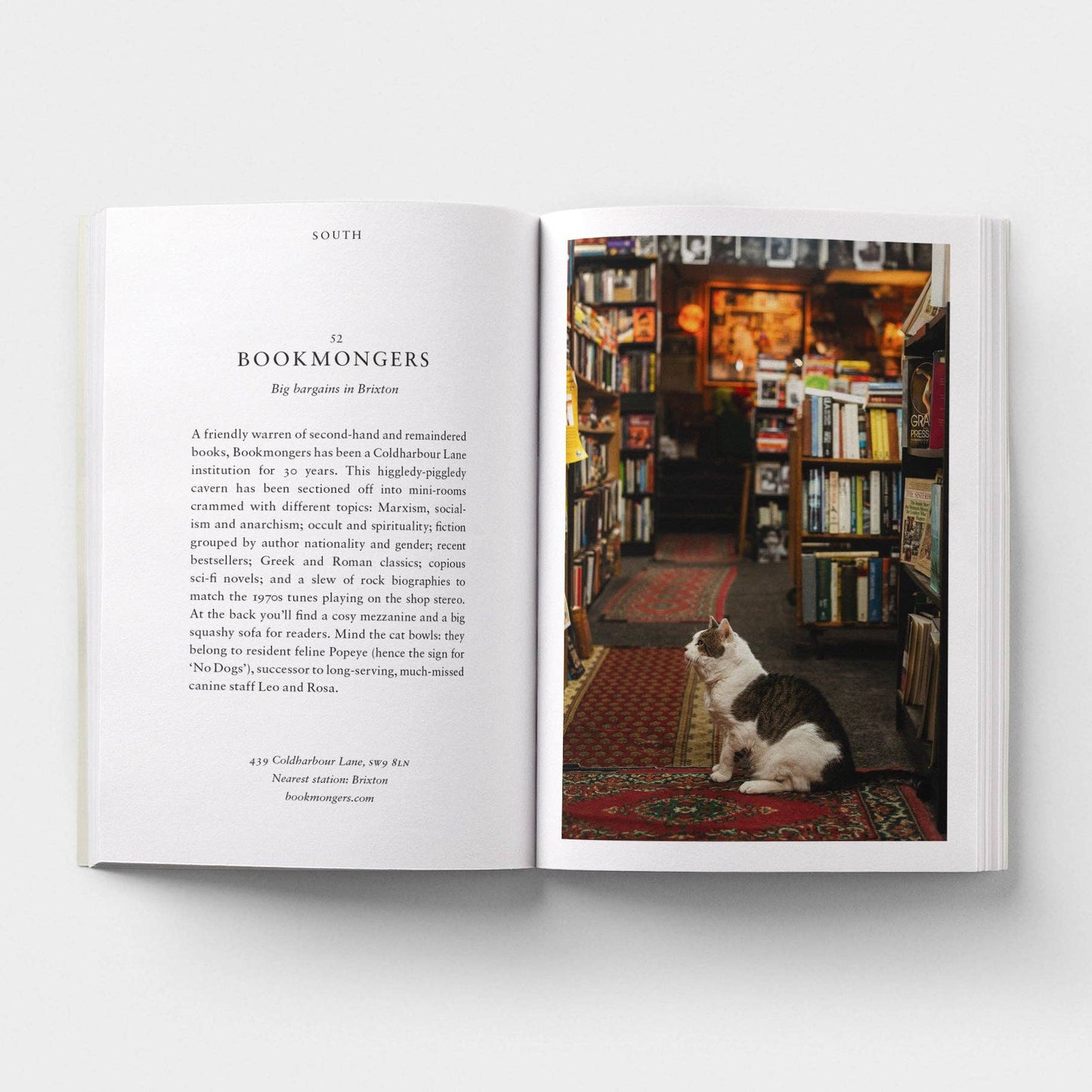 Open book with a photograph of a cat in a bookstore on one page and text on the other.