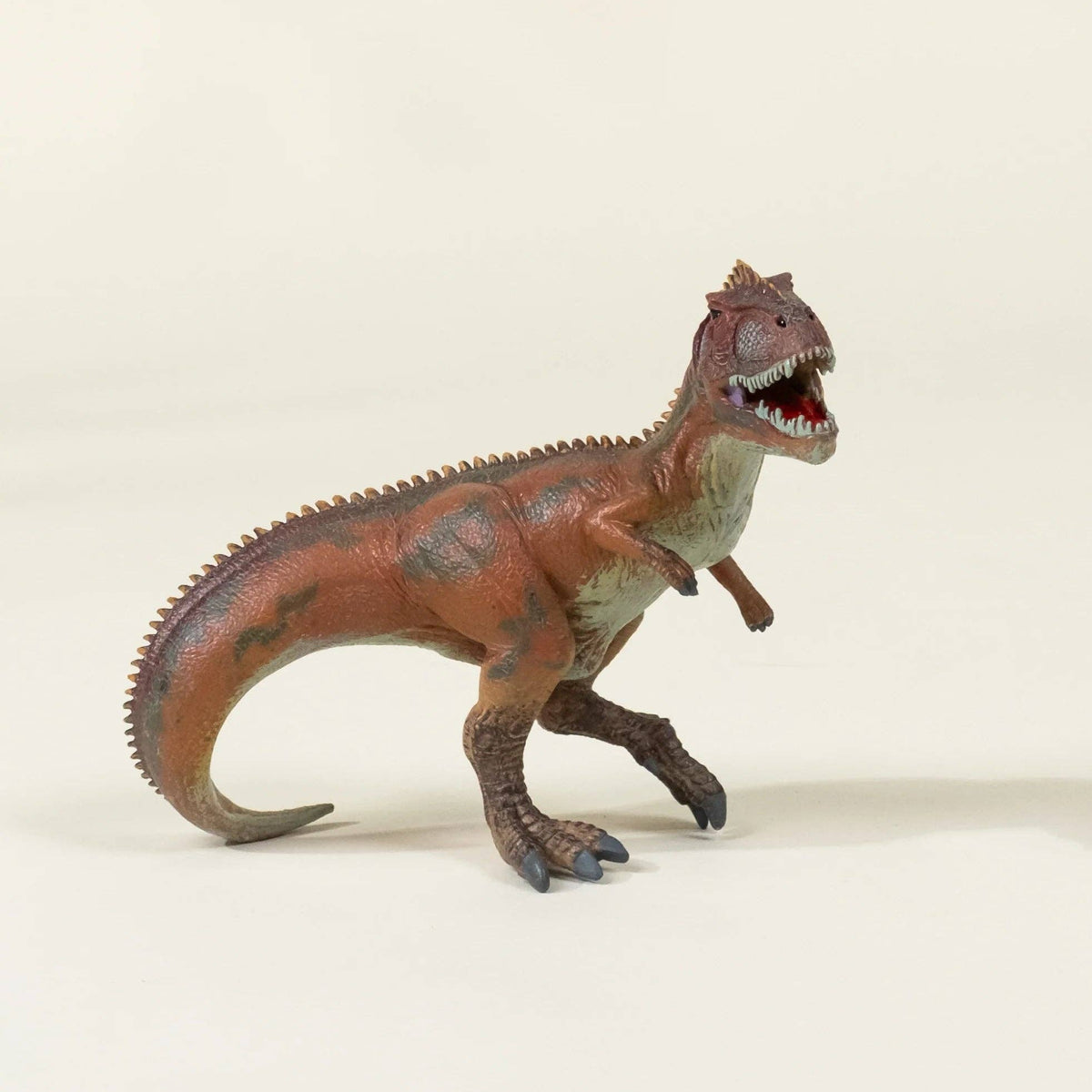 Giganotosaurus Dinosaur in a Collectable Box