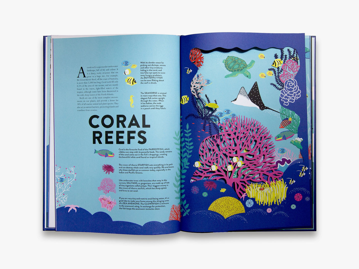 Ocean Book