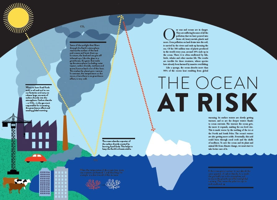 Ocean Book