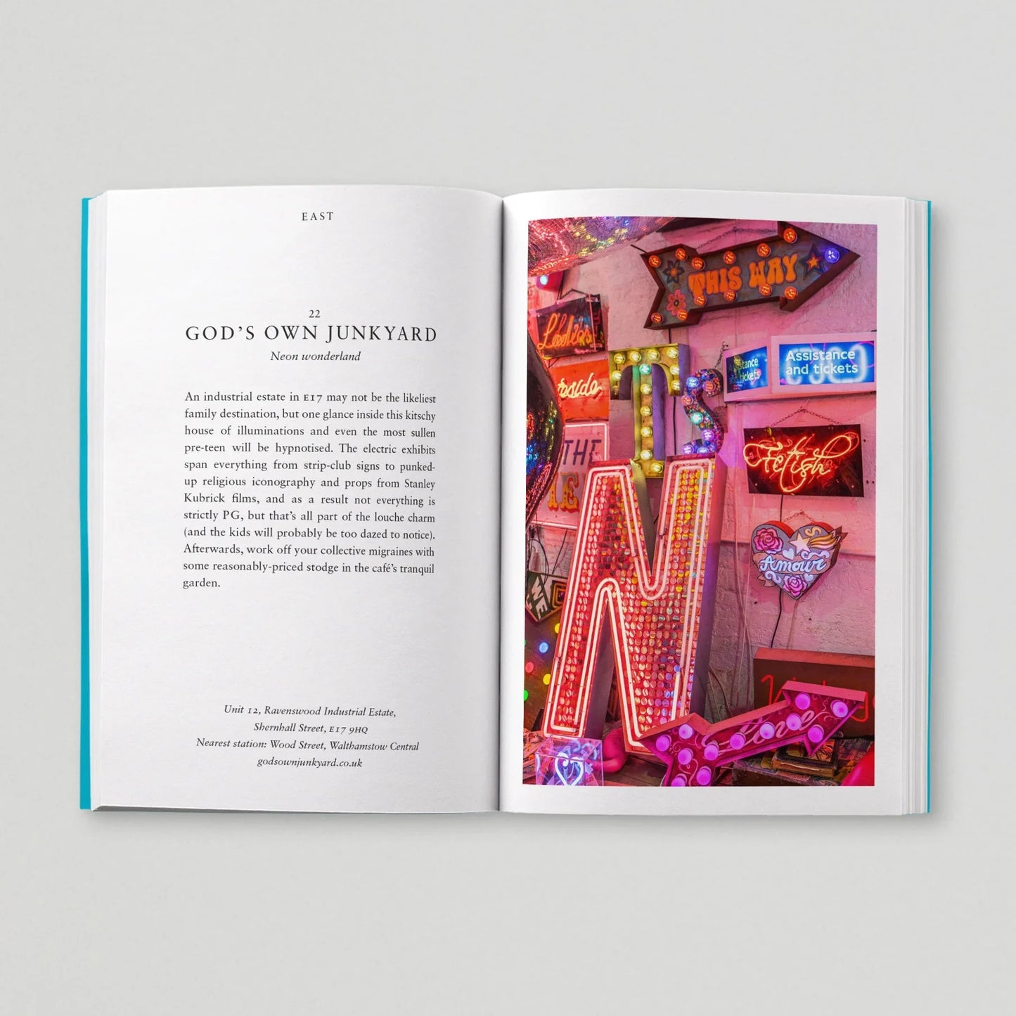 Open book showing text on one page and a colorful photograph of neon signs on the other, against a light gray background.