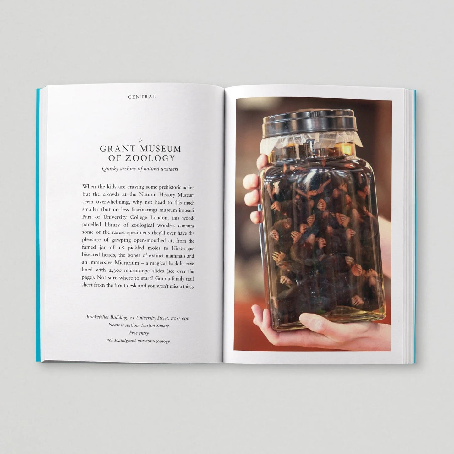 Open book with a photograph of a jar containing preserved specimens on a gray background