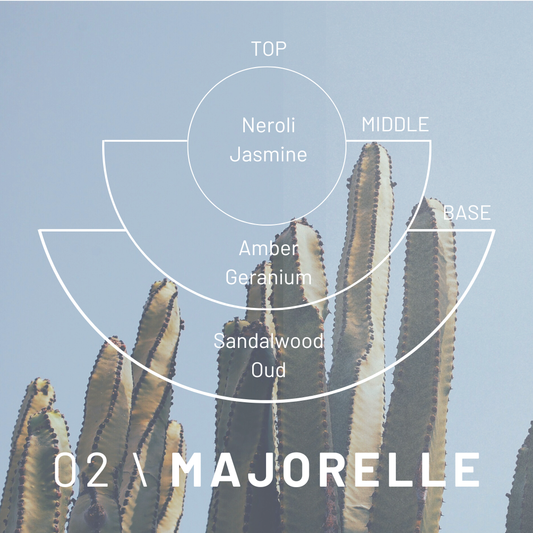 Fragrance pyramid for Cedar London Majorelle Candle, showing top notes of neroli and jasmine, middle notes of amber and geranium, and base notes of sandalwood and oud on a cactus background.