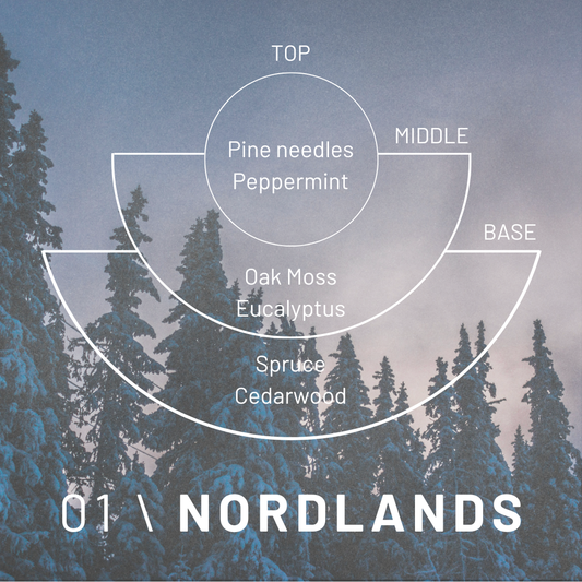 Fragrance pyramid for Cedar London Nordlands Candle, showing top notes of pine needles and peppermint, middle notes of oak moss and eucalyptus, and base notes of spruce and cedarwood against a misty forest background