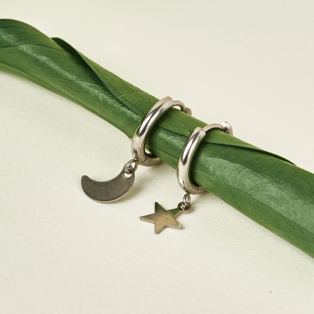 A pair of silver Astral Hoops earrings with a small crescent moon and star charm, displayed on a green stem.