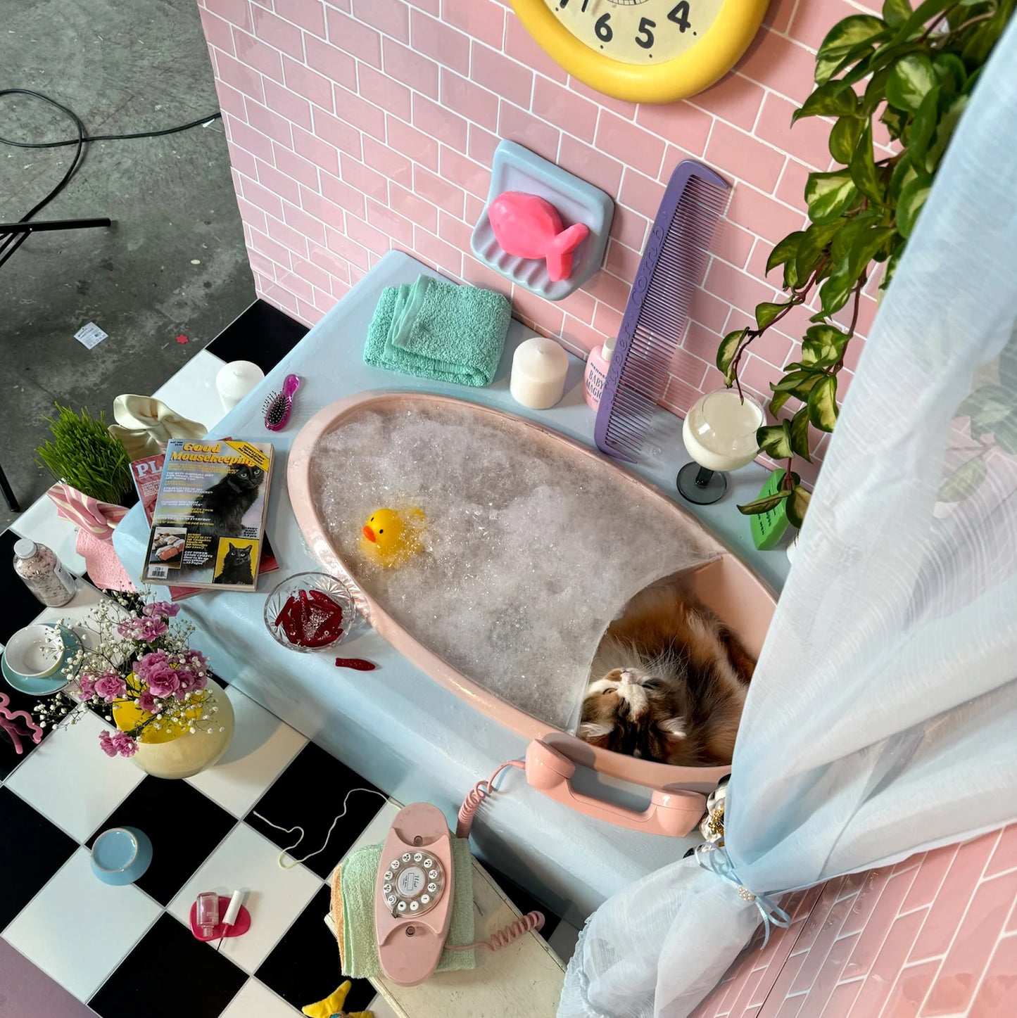 Pet sitting area with a small bathtub, toys, and a clock on a pink tiled wall.