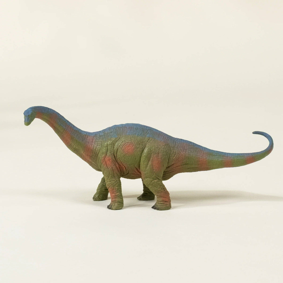 Brachiosaurus Dinosaur in a Collectable Box