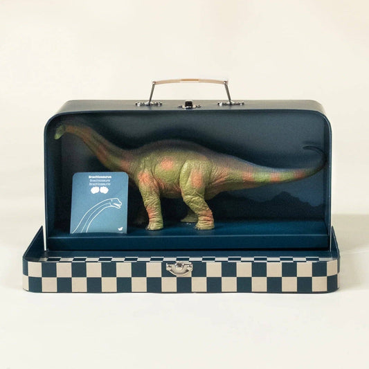 Brachiosaurus Dinosaur in a Collectable Box