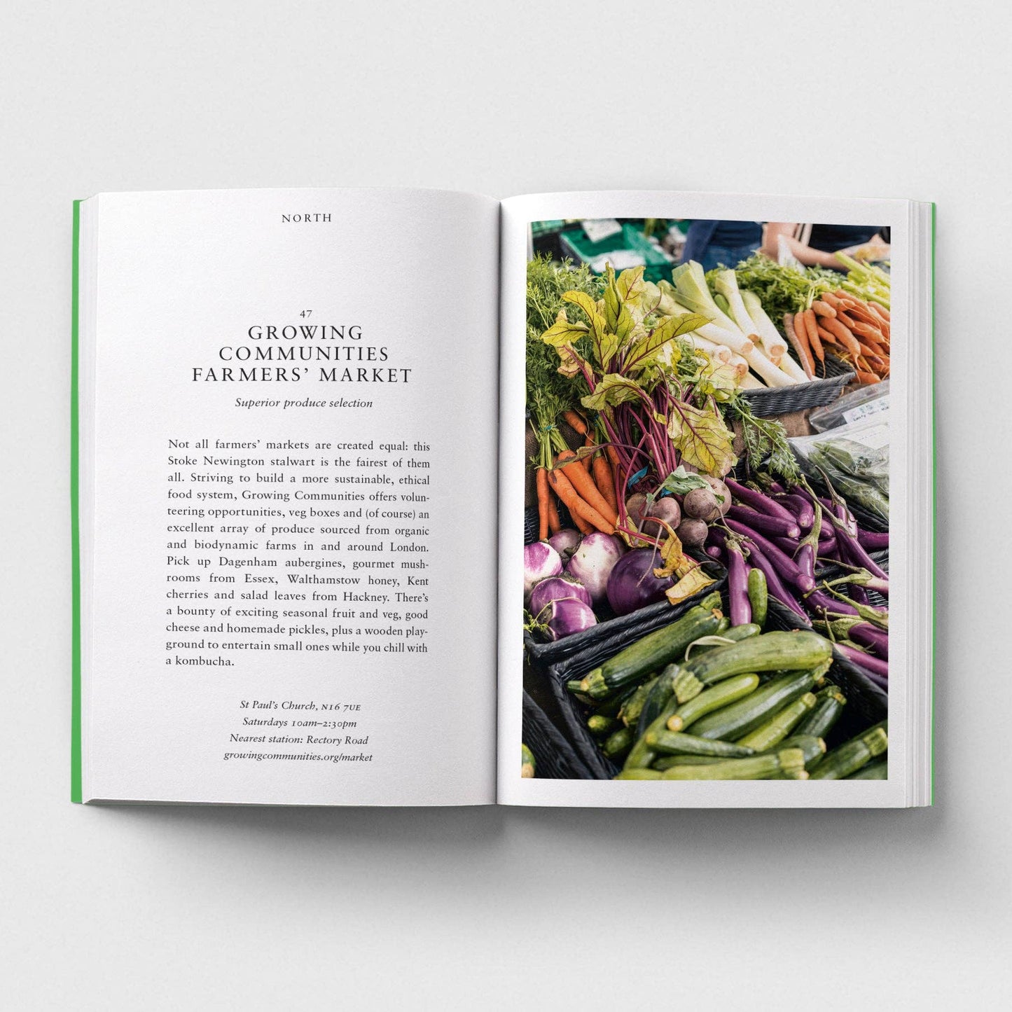 Open book showing text on one page and a colorful display of vegetables on the other, on a light gray background.