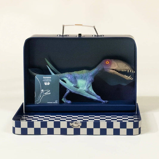 Pterosauria Dinosaur in a Collectable Box