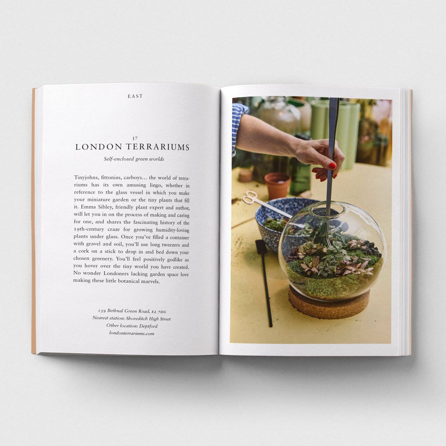 Open book showing a terrarium on a table with text on a white background