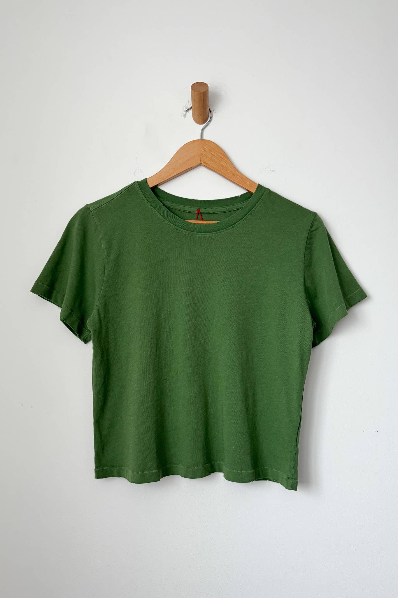 Le Bon Shoppe Monstera Darling Tee