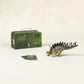 Kentrosaurus Dinosaur in a Collectable Box
