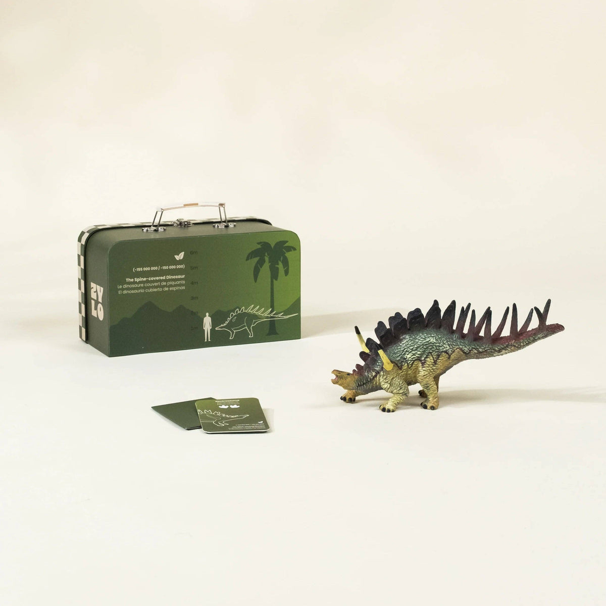 Kentrosaurus Dinosaur in a Collectable Box