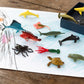 Assorted toy sea creatures on a paper with a wooden surface background