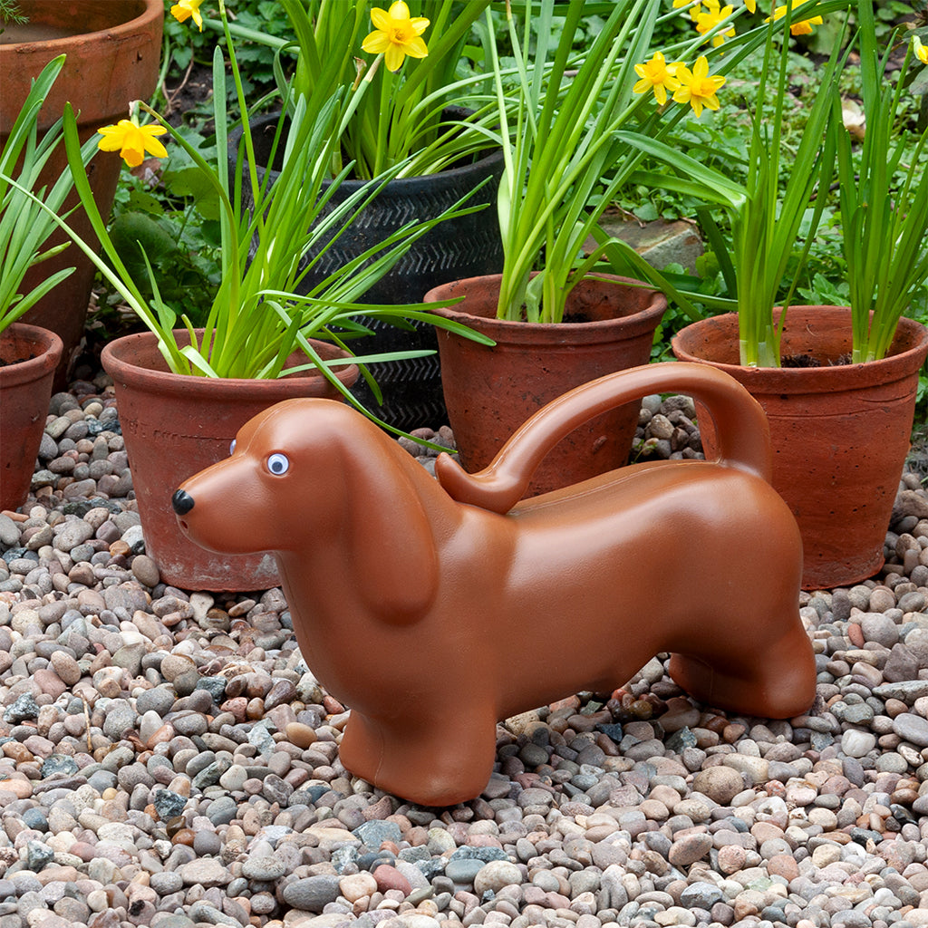 Sausage Dog Watering Can