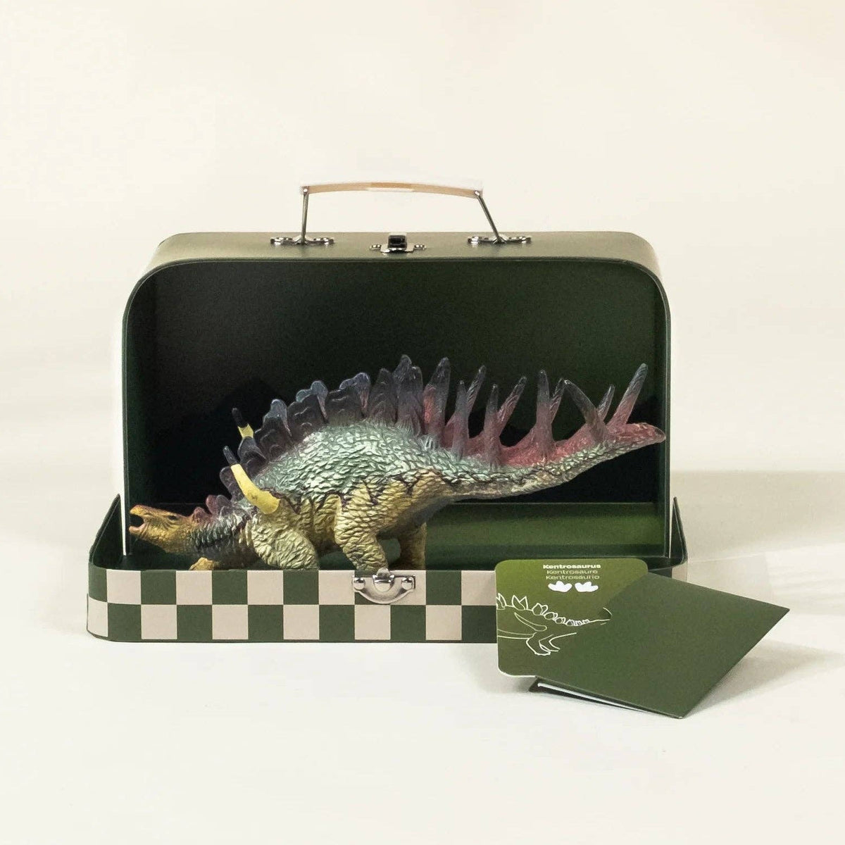 Kentrosaurus Dinosaur in a Collectable Box