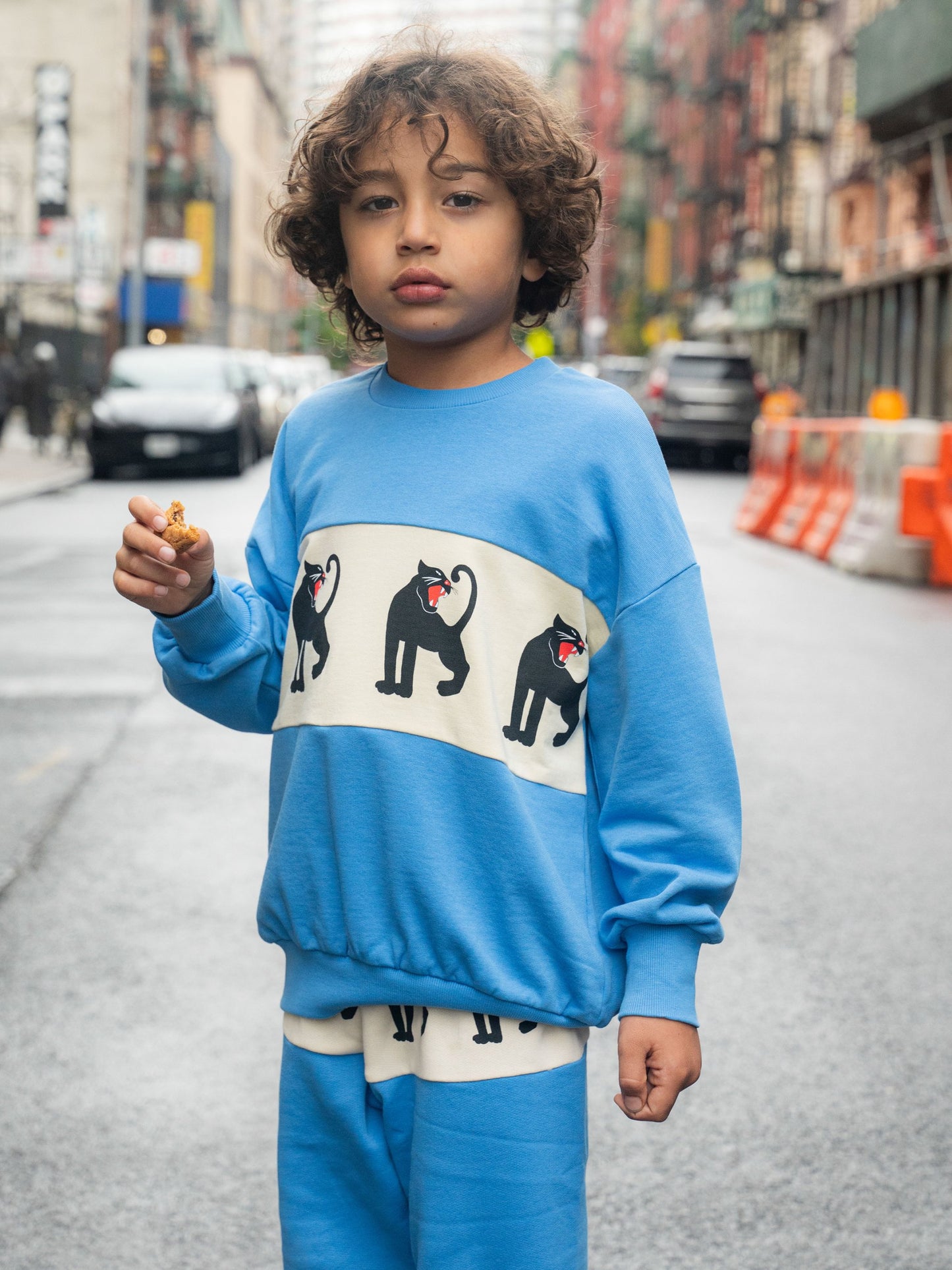 Mini Rodini Panther Panel Sweatshirt