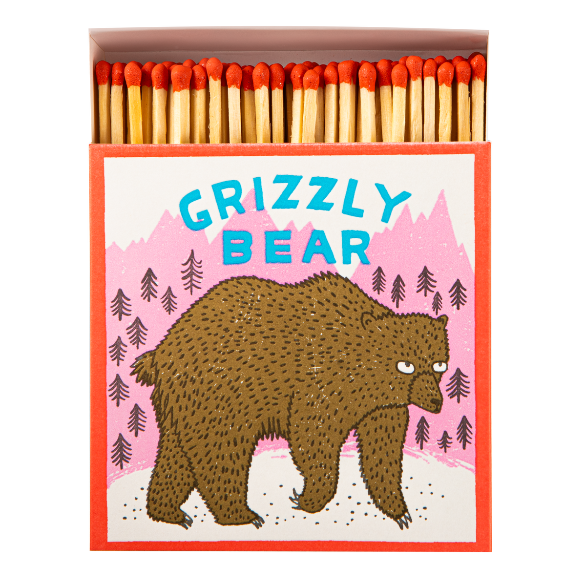 Grizzly Bear Square Matchbox