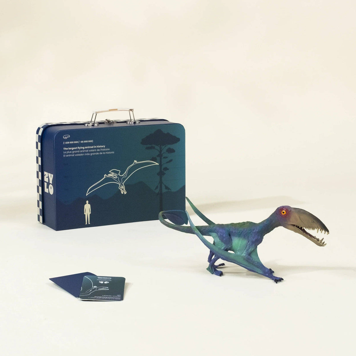 Pterosauria Dinosaur in a Collectable Box
