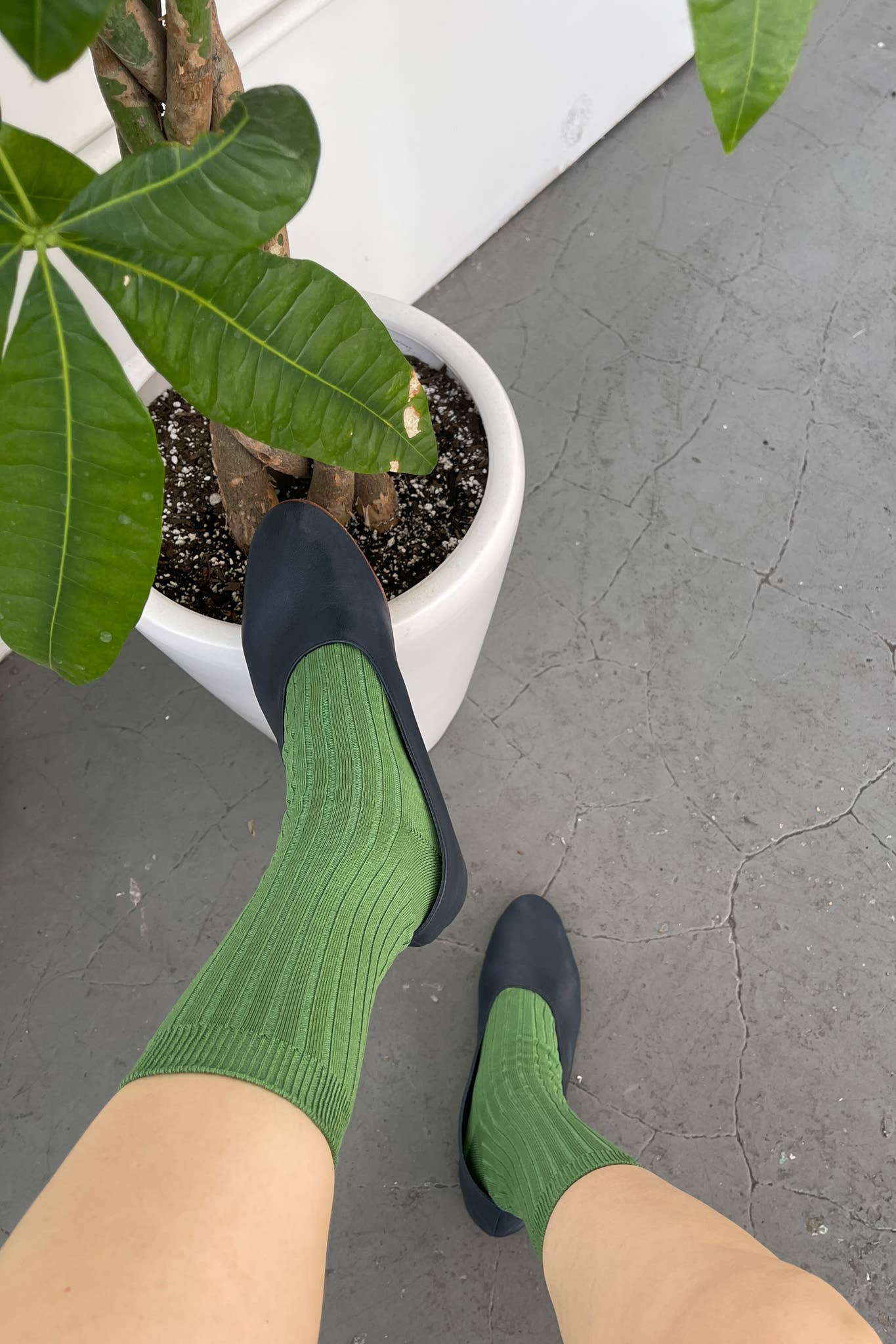 Le Bon Shoppe Cactus Her Socks