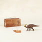 Parasaurolophus Dinosaur in a Collectable Box