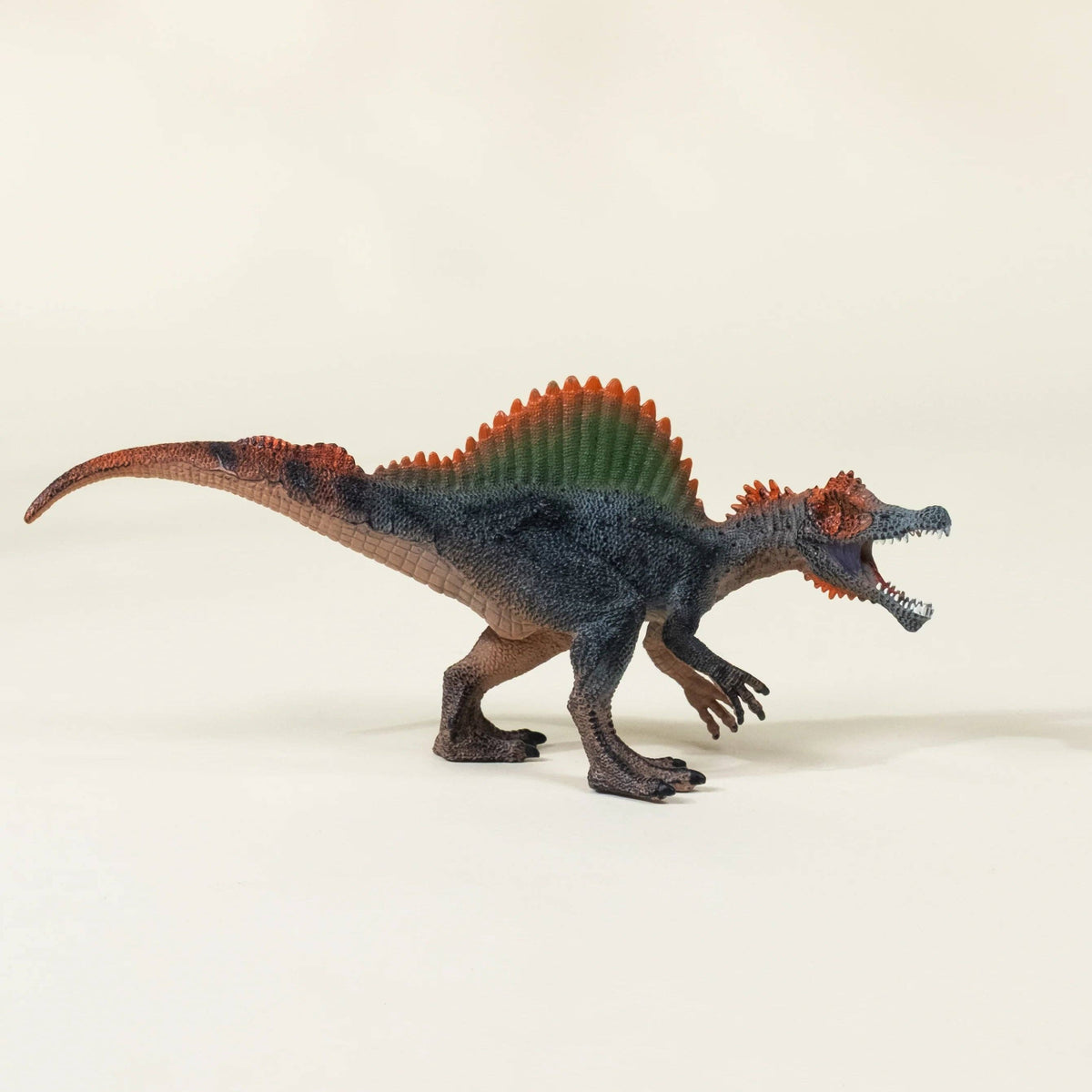 Spinosaurus Dinosaur in a Collectable Box