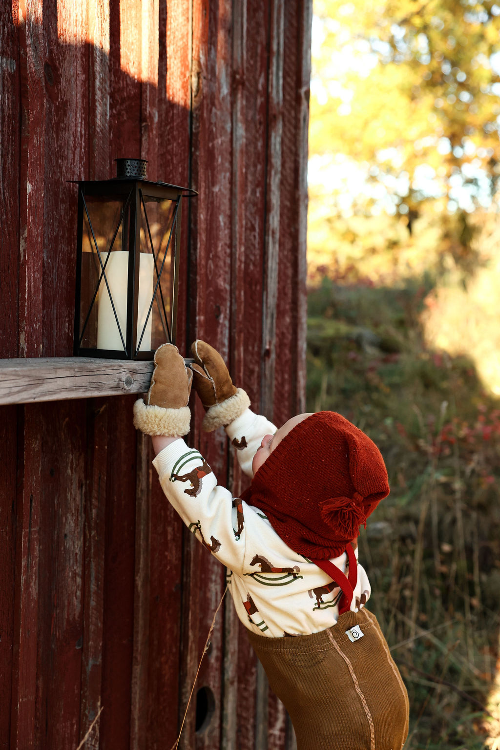 Silly Silas Maple Leaf w Dark Forest Green Footless Tights