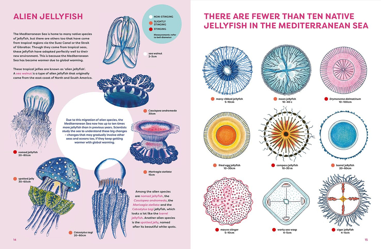 Jellyfish Garden Book