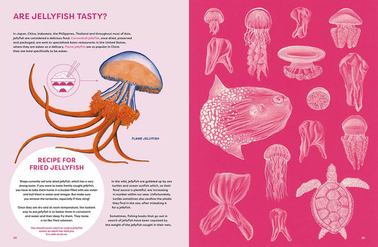 Jellyfish Garden Book