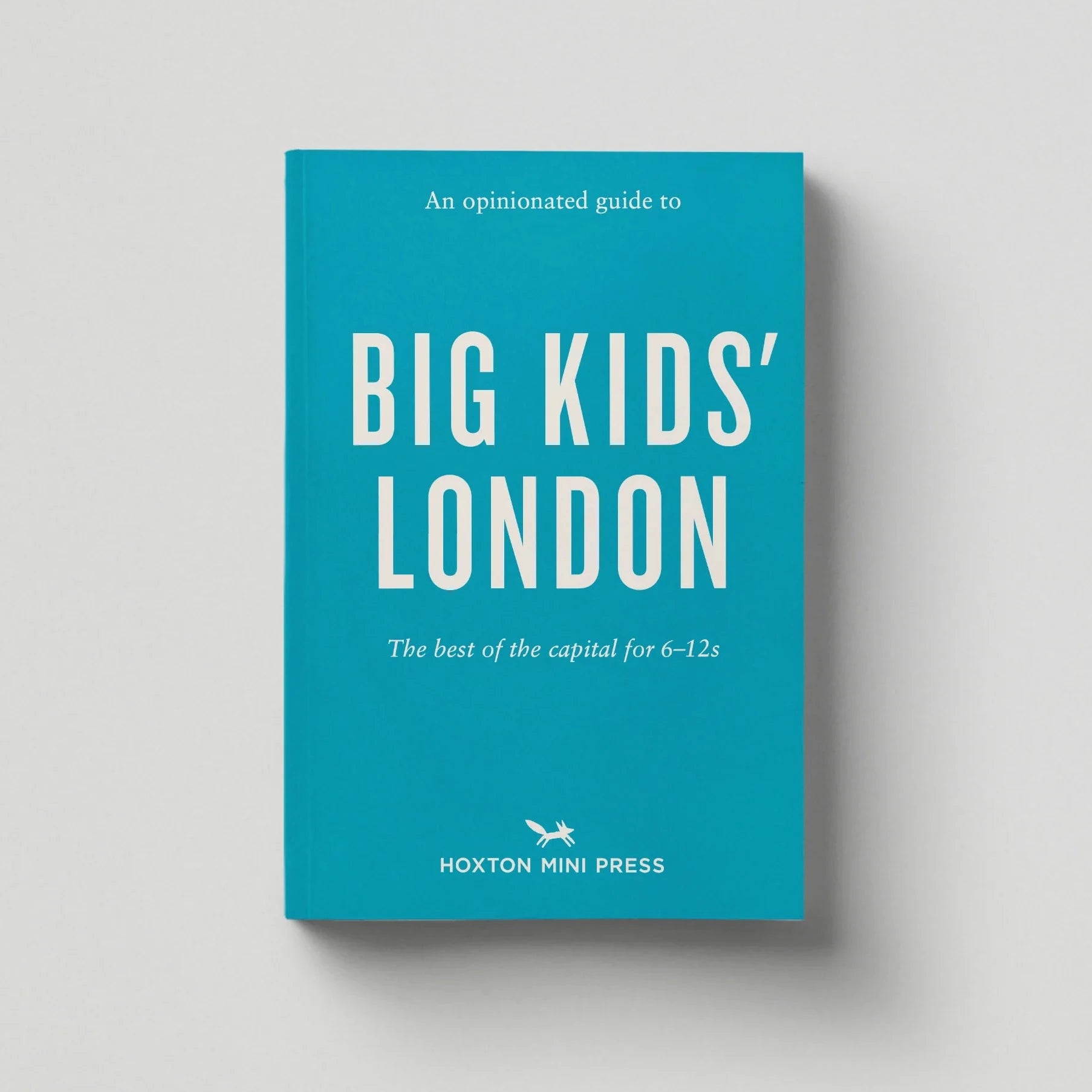 Book titled 'Big Kids' London' on a gray background