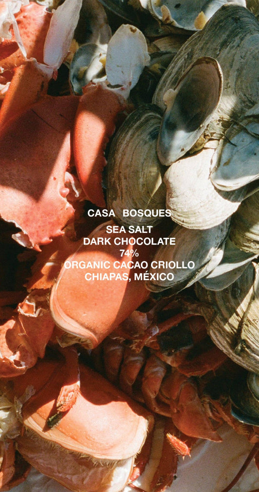 Casa Bosques Sea Salt Chocolate Bar