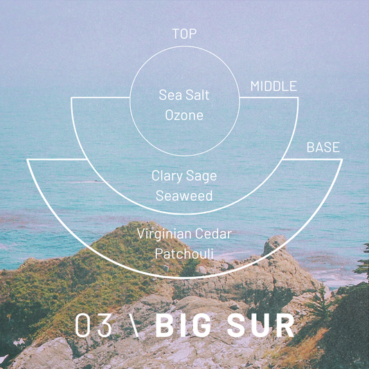 Fragrance pyramid for Cedar London Big Sur Candle, showing top notes of sea salt and ozone, middle notes of clary sage and seaweed, and base notes of Virginian cedar and patchouli against a coastal cliffside background.