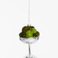 Coupe Olives Christmas Ornament