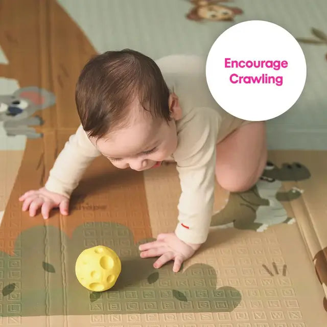 Edushape Baby Sensory Balls