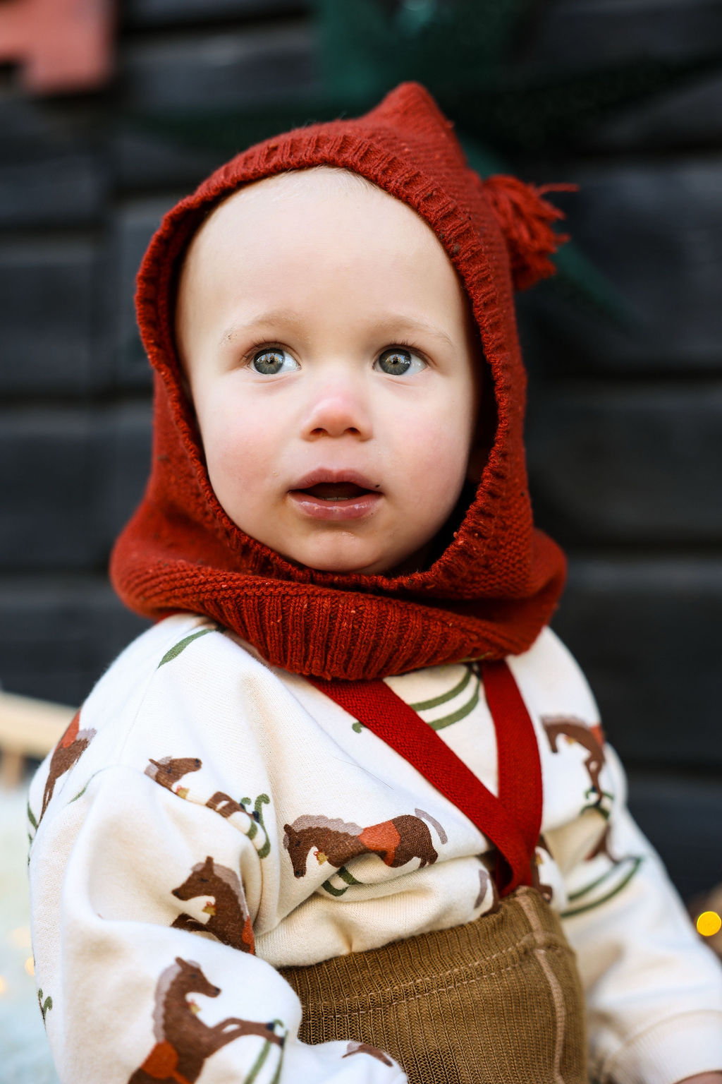 Silly Silas Acorn Brown w Maple Leaf Footless Tights