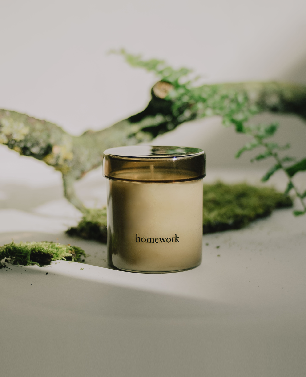 Homework wood scented candle, in a moss green cylindrical transparent glass with matching lid. On a grey backdrop with a stem of a Fern, and tree branch and a couple bits of moss in the background