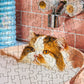 Jigsaw puzzle with a cat in a bathtub and tiled wall background