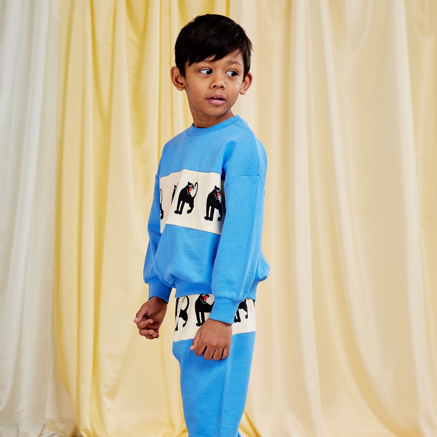 Mini Rodini Panther Panel Sweatshirt