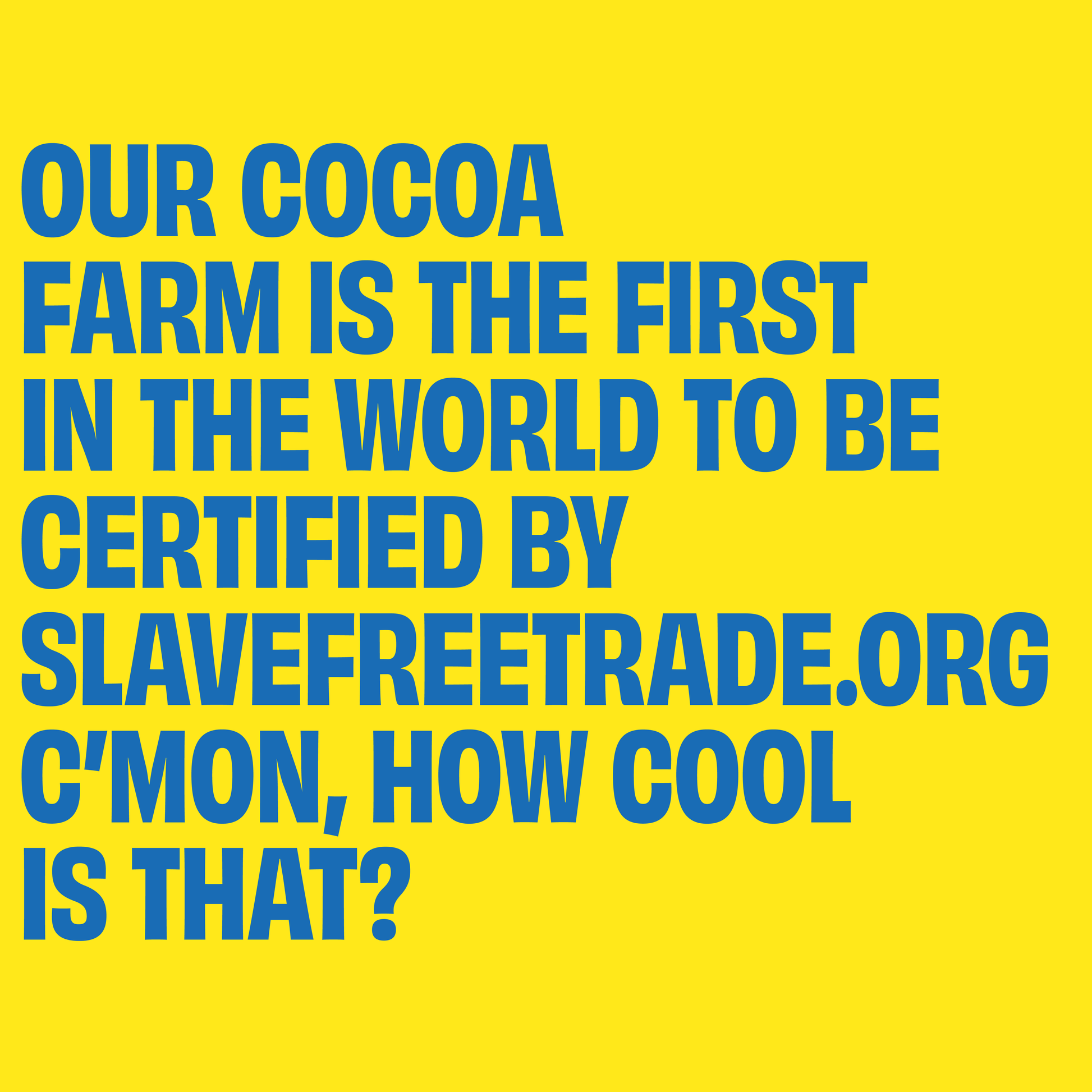 Text on a yellow background about a cocoa farm being certified by Slave Free Trade.org