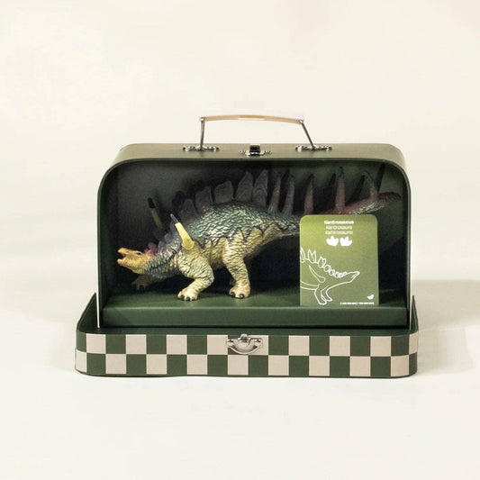 Kentrosaurus Dinosaur in a Collectable Box