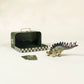 Kentrosaurus Dinosaur in a Collectable Box