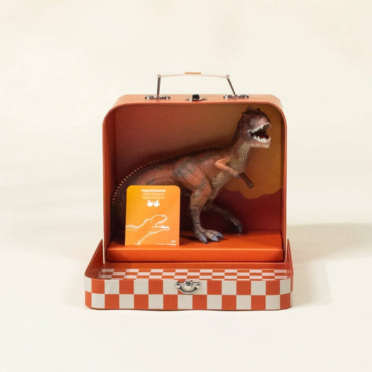 Giganotosaurus Dinosaur in a Collectable Box
